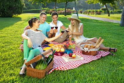 Picknick im Park